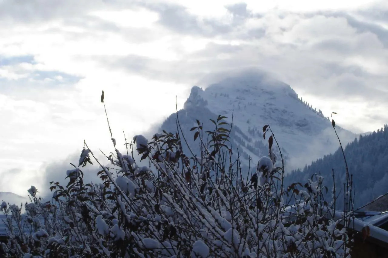 Apartment Studio Le Marquis 2 Morzine